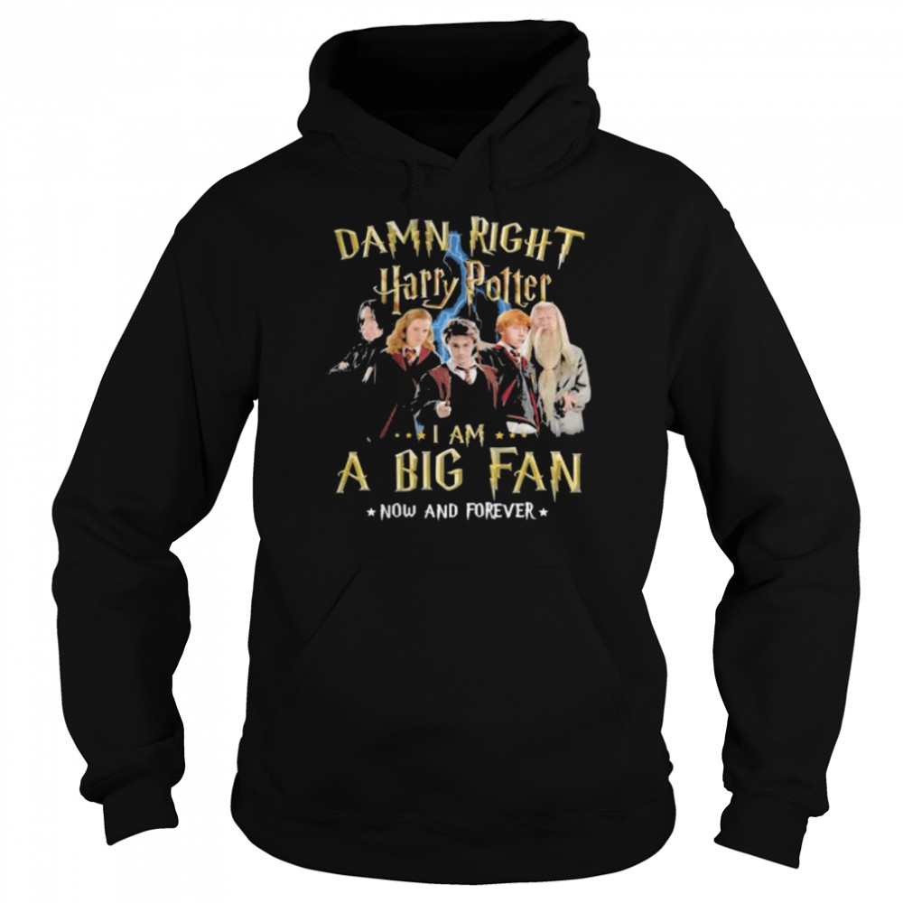 Damn Right Harry Potter I Am A Big Fan Now And Forever Stars  Unisex Hoodie