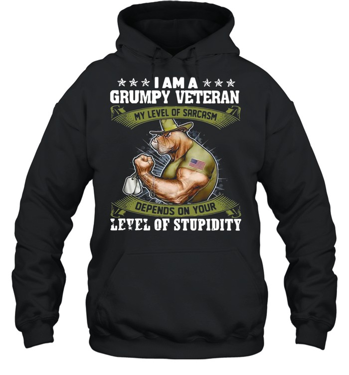 I Am A Grumpy Veteran My Level Of Sarcasm Depends On Your Level Of Stupidity T-Shirt Unisex Hoodie