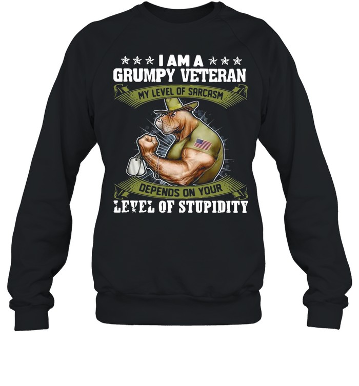 I Am A Grumpy Veteran My Level Of Sarcasm Depends On Your Level Of Stupidity T-Shirt Unisex Sweatshirt