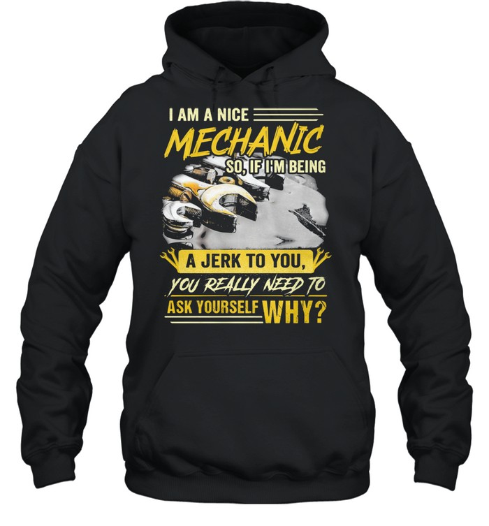 I Am A Nice Mechanic So If I Am Being A Jerk To You Really Need To Ask Yourself Why  Unisex Hoodie