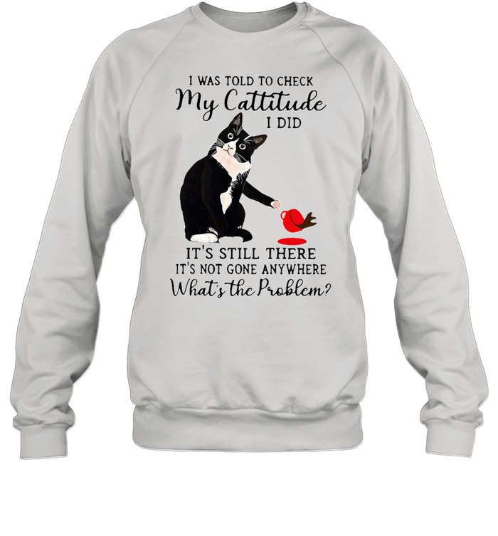 Black Cat I Was Told To Check My Cattitude I Did It’s Still There It’s Not Gone Anywhere What’s The Problem  Unisex Sweatshirt