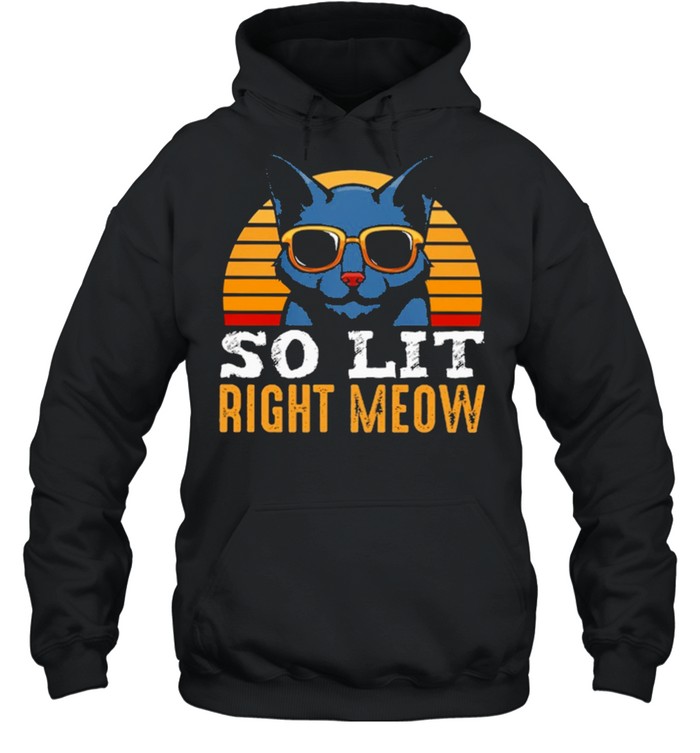 Cat Best Selling So Lit Right Meow Vintage Shirt Unisex Hoodie