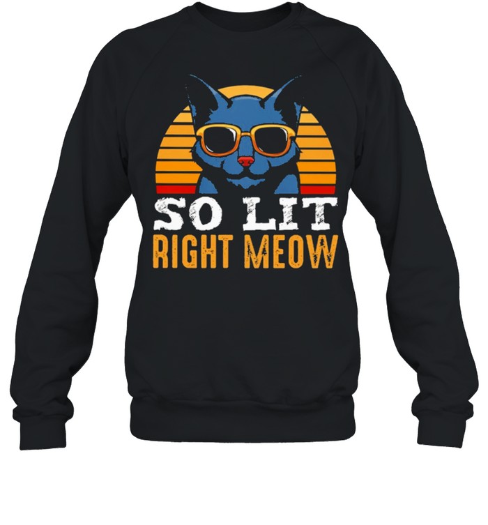 Cat Best Selling So Lit Right Meow Vintage Shirt Unisex Sweatshirt