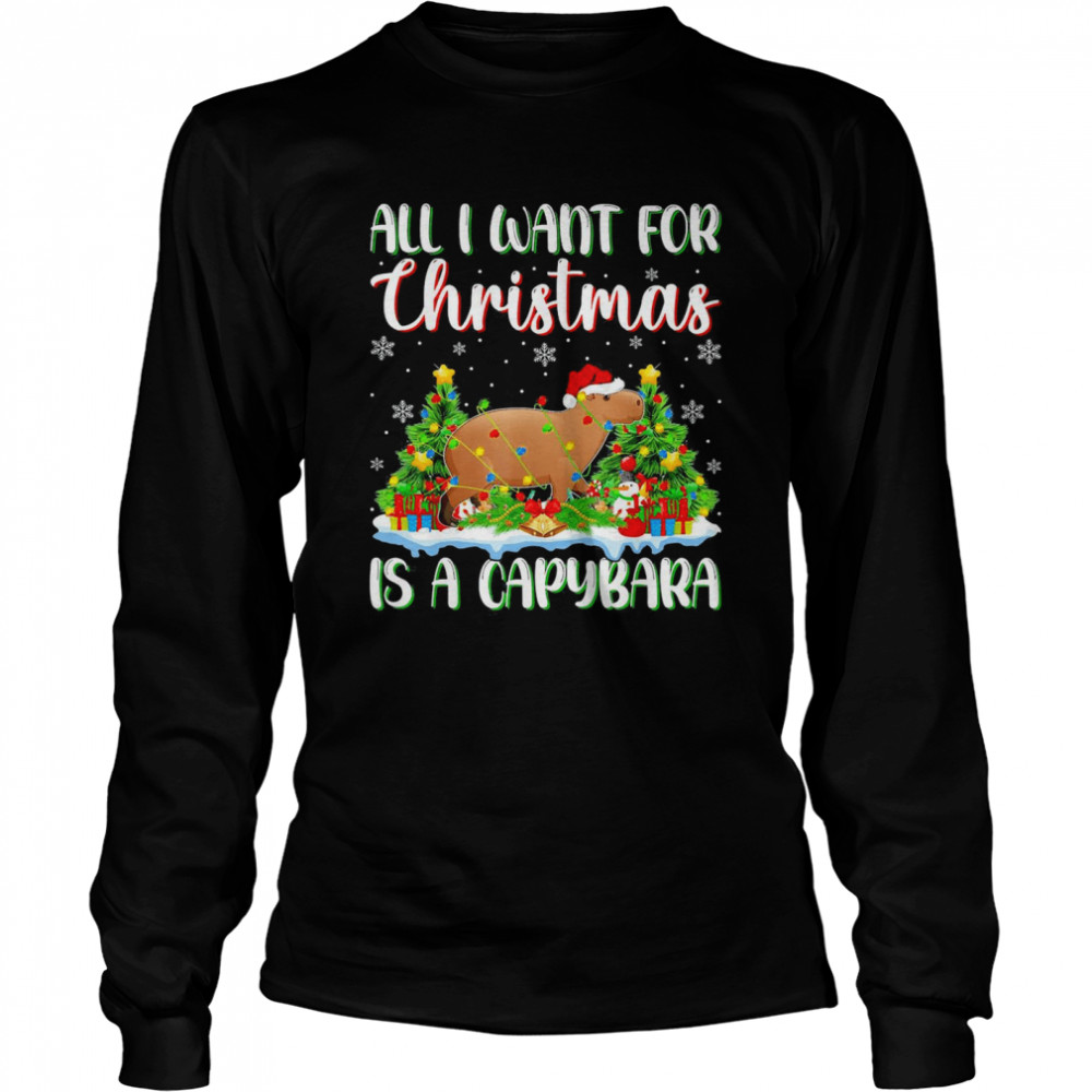 Xmas Lighting Santa All I Want For Christmas Is A Capybara Long Sleeved T Shirt