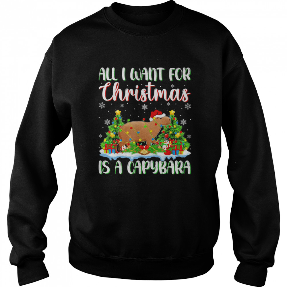 Xmas Lighting Santa All I Want For Christmas Is A Capybara Unisex Sweatshirt