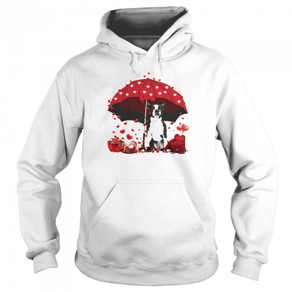 Loving Red Umbrella Black Boston Terrier Christmas Sweater  Unisex Hoodie