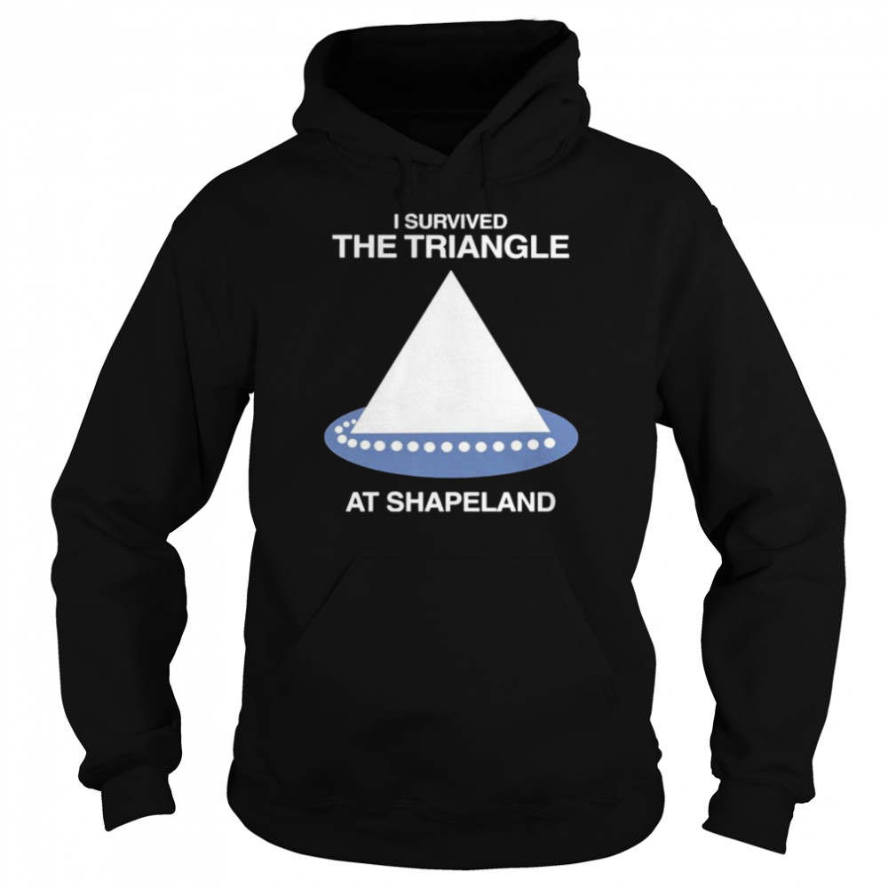I survived the triangle at shapeland shirt Unisex Hoodie